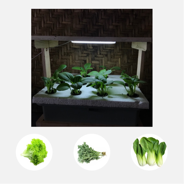 Paket starter kit indoor hidroponik growing system 1 set 18 lubang sistem wick lengkap