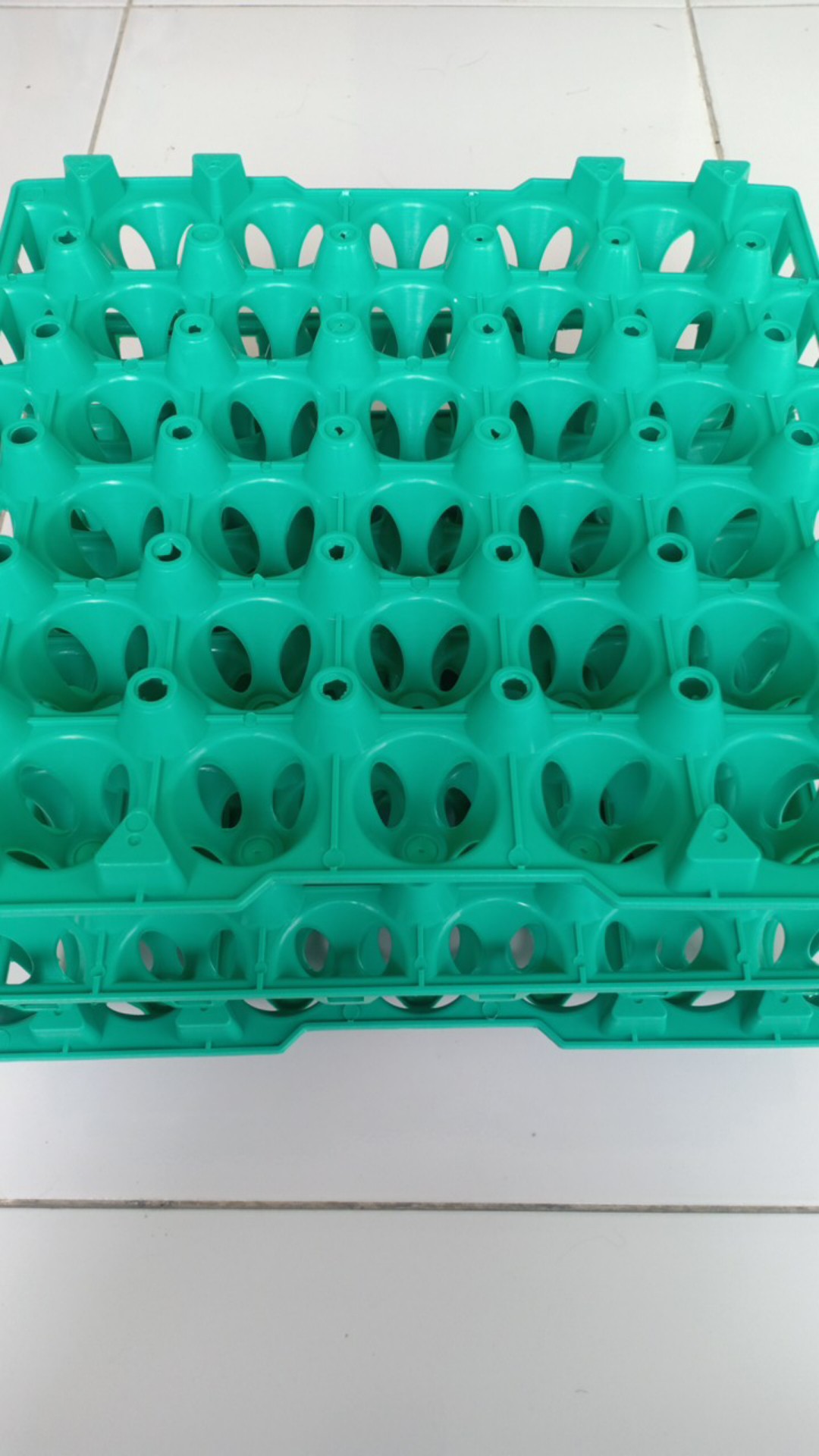 Green Leaf Keranjang Telur 30s Eggie Egg Container Gl3995
