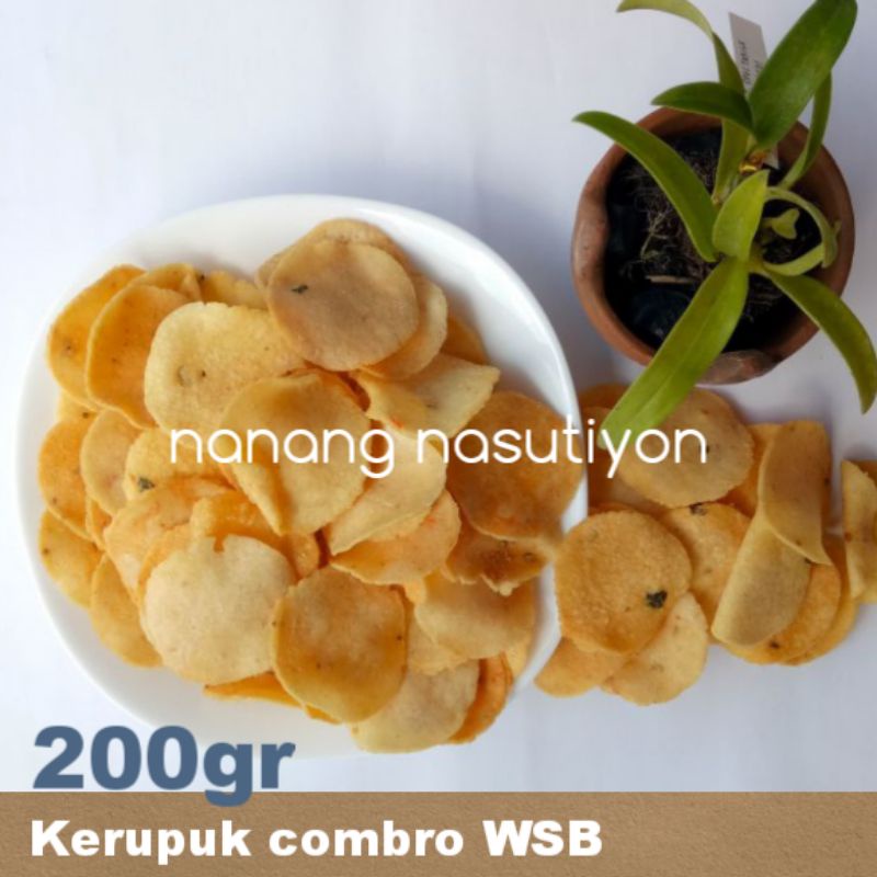 

Kerupuk combro WSB