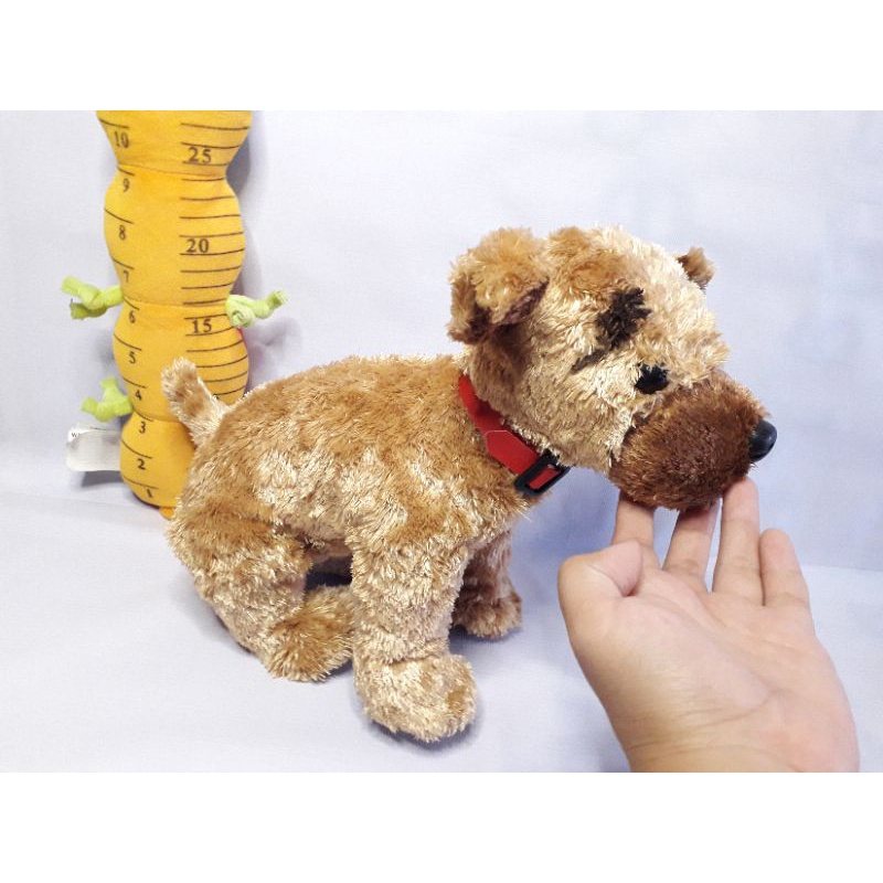 BONEKA KARAKTER HEWAN ANJING GUGUK GOLDEN RETRIEVER ORIGINAL BRAND TY