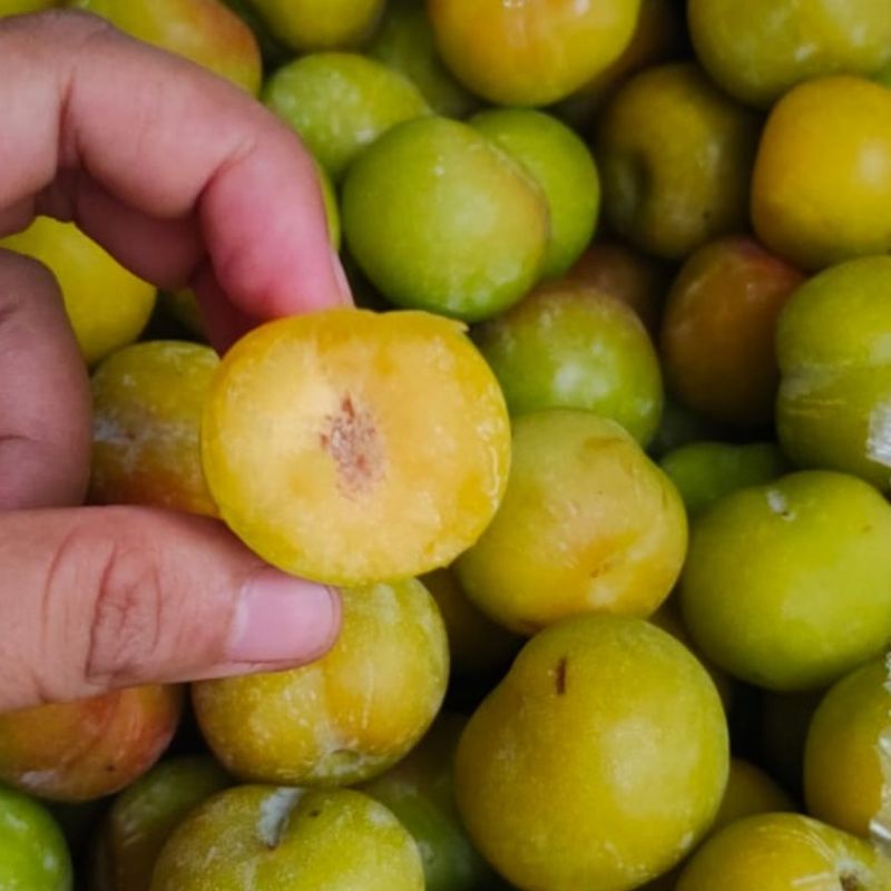 Buah Plum Hijau Segar Manis