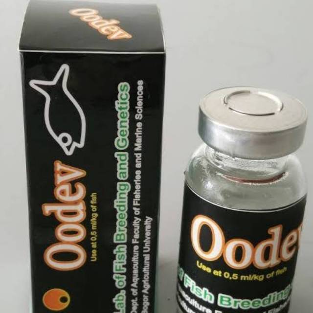 OODEV hormon mempercepat kematangan gonad ikan