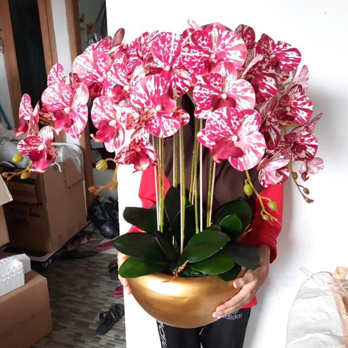 rangkaian anggrek latex bunga