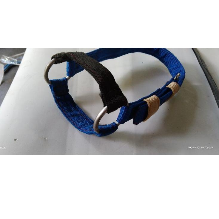 [TeQ㊗] brangus domba / kambing ||Ready now