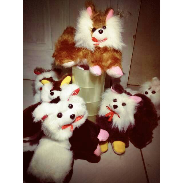 Boneka kucing anggora lucu