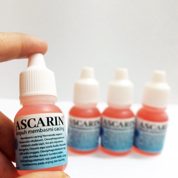 ASCARIN 10ML | Obat Cacing Hewan | Ampuh Original | Obat Cacing/Worm Pada Kucing/Anjing