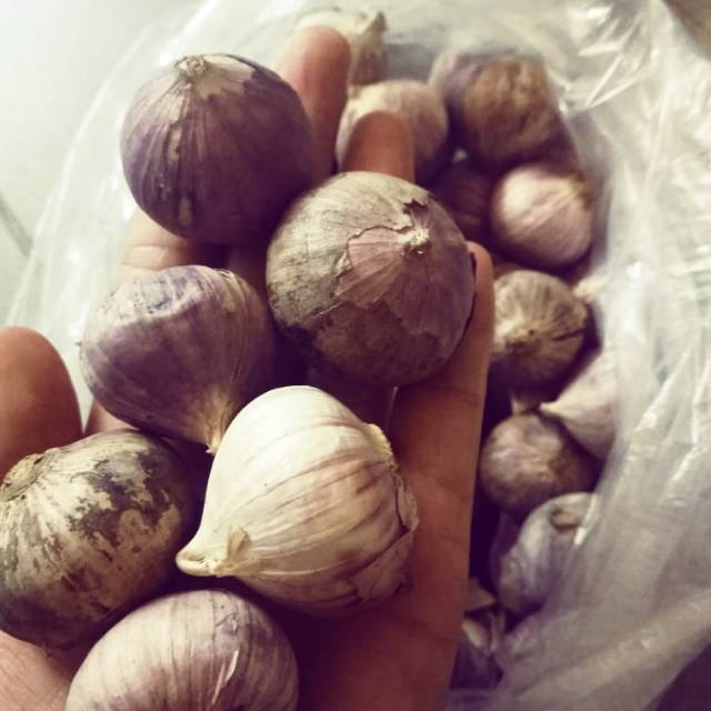 

Bawang tunggal import jumbo 1000kg