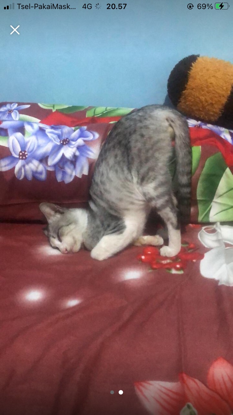 Starbucks Reusable Summer Cup, Harga Sudah Termasuk Bubble Wrap