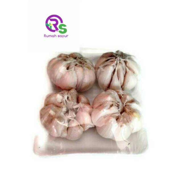 

RUMAH SAYUR BAWANG PUTIH PACK TERMURAH TERLARIS