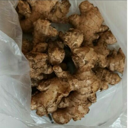 Jahe 1kg kualitas premium