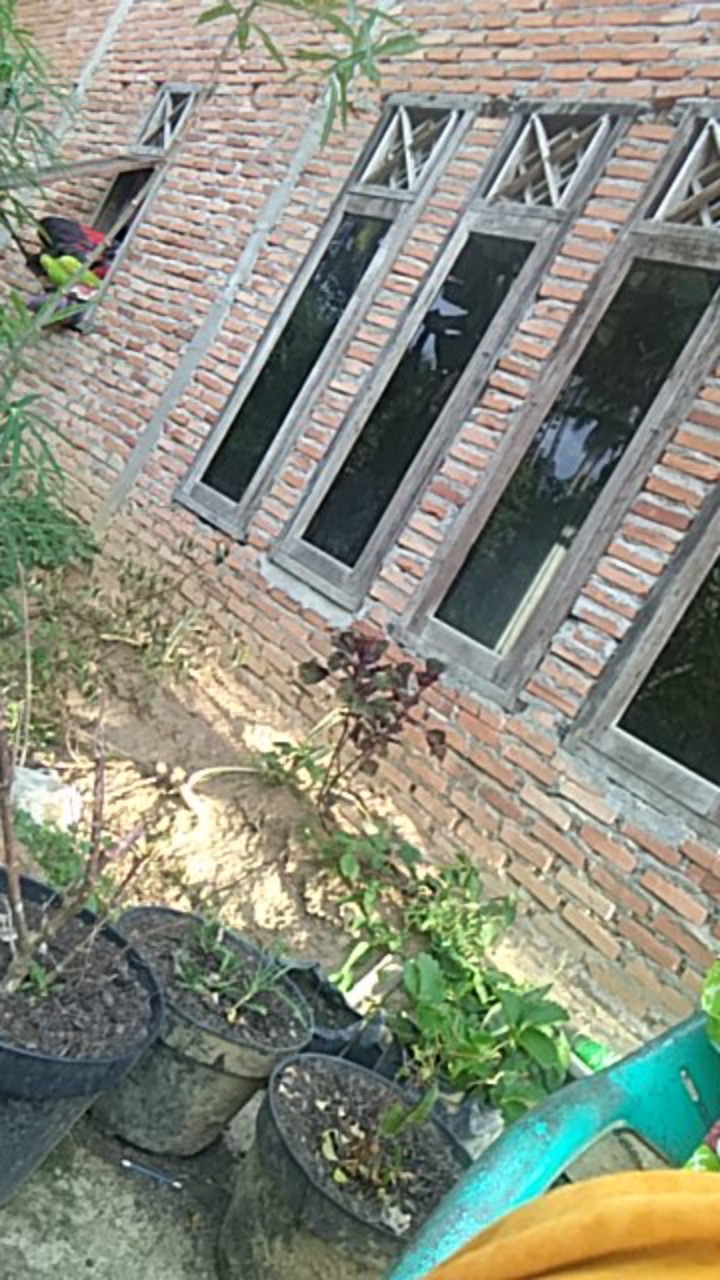 Kemeja Batik Lengan Panjang Pria | Batik Jumbo | Baju Batik Besar Bigsize Oversize Xxl Xxxl