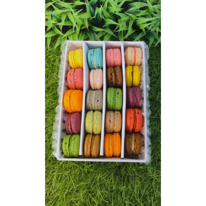 

baby macaron isi 20