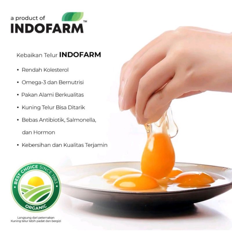 

TELOR AYAM KAMPUNG INDOFARM 1Box isi 20btr