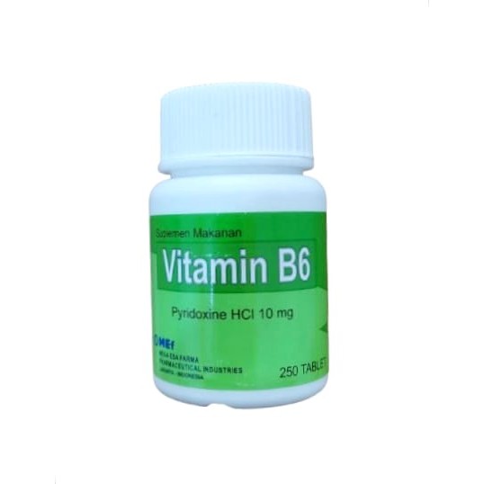 PT MEF Vitamin B6 10 mg Pot 250 Tablet