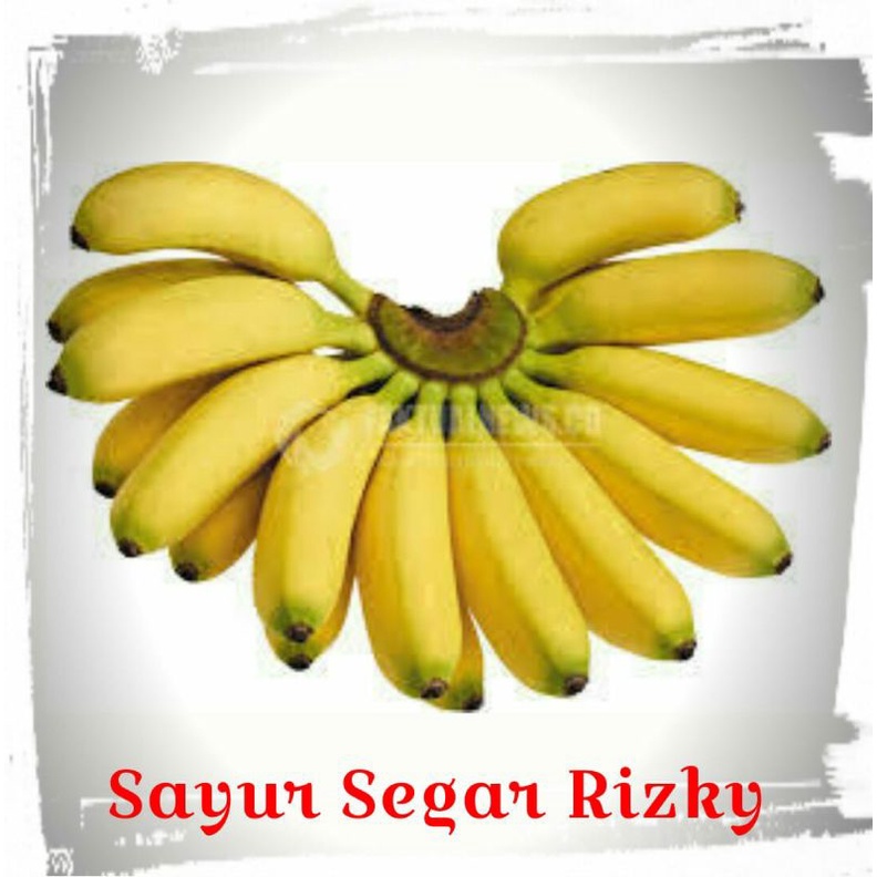 

Pisang Mauli, Pisang moli 1 Sisir