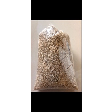 kenari seed 1kg