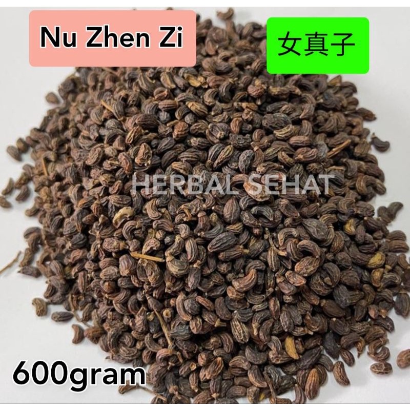 

600 gram - Nu Zhen Zi 女真子 Fructus Ligustri Lucidi
