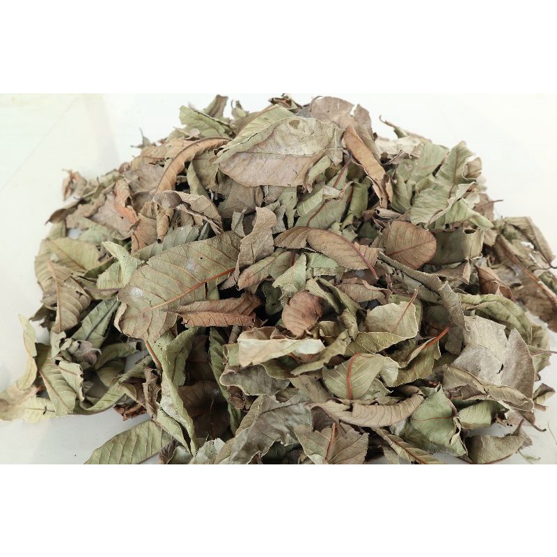 

Herbal daun jambu biji kering ori 1kg murah