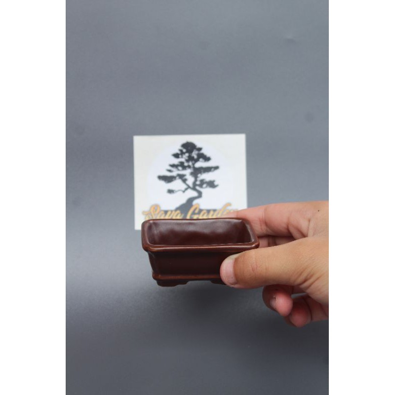 Pot keramik bonsai mame persegi panjang/ pot keramik small