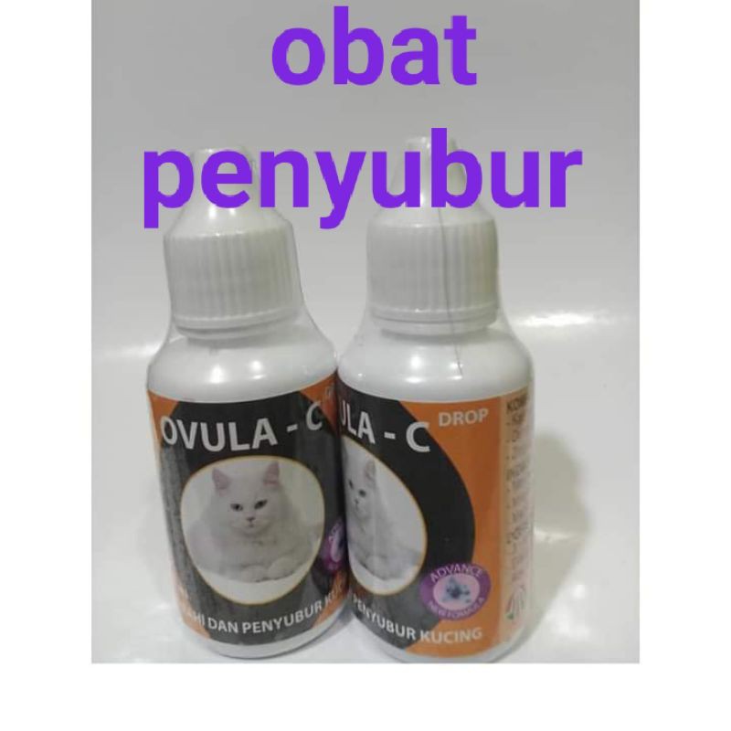 Obat Penambah Stamina Kucing Ovula-C