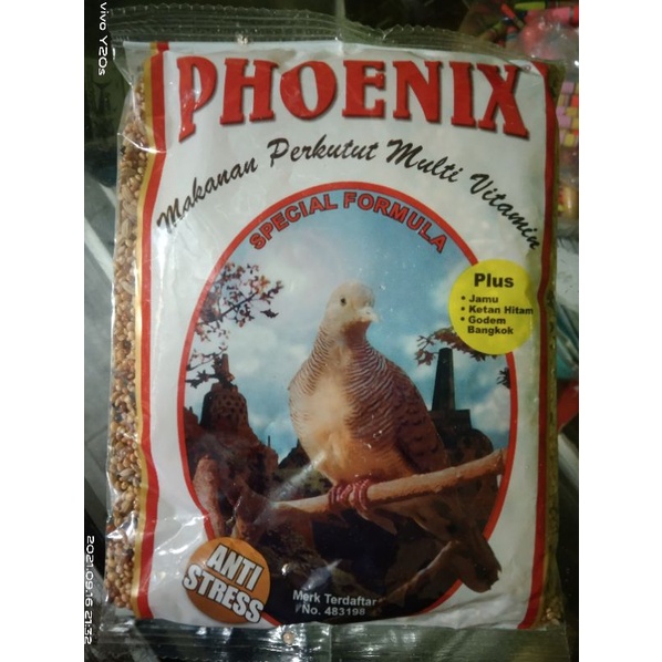 Phoenix perkutut