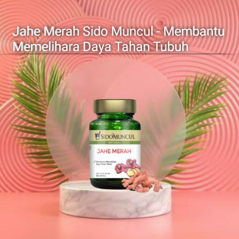 

Sido Muncul Herbal Jahe Merah - Mempertahankan daya tahan tubuh