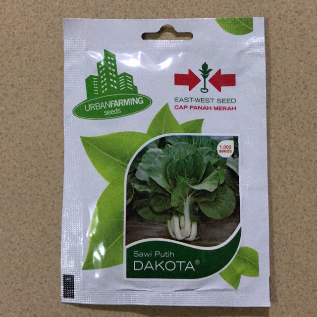 Benih Sawi Putih Dakota - Panah Merah