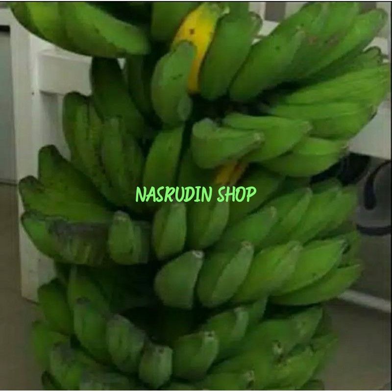 PISANG MENTAH 1KG | PISANG KEPOK | PISANG AMBON | PISANG RAJA | PISANG TANDUK | PISANG SIKAT | PISAN