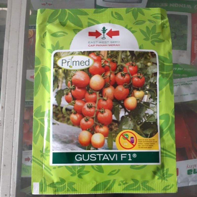 BENIH TOMAT GUSTAVI Panah Merah kemasan 1750 seeds