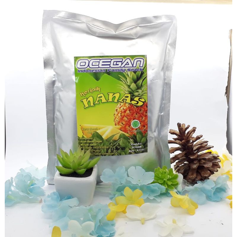 

Keripik Nanas 100gr