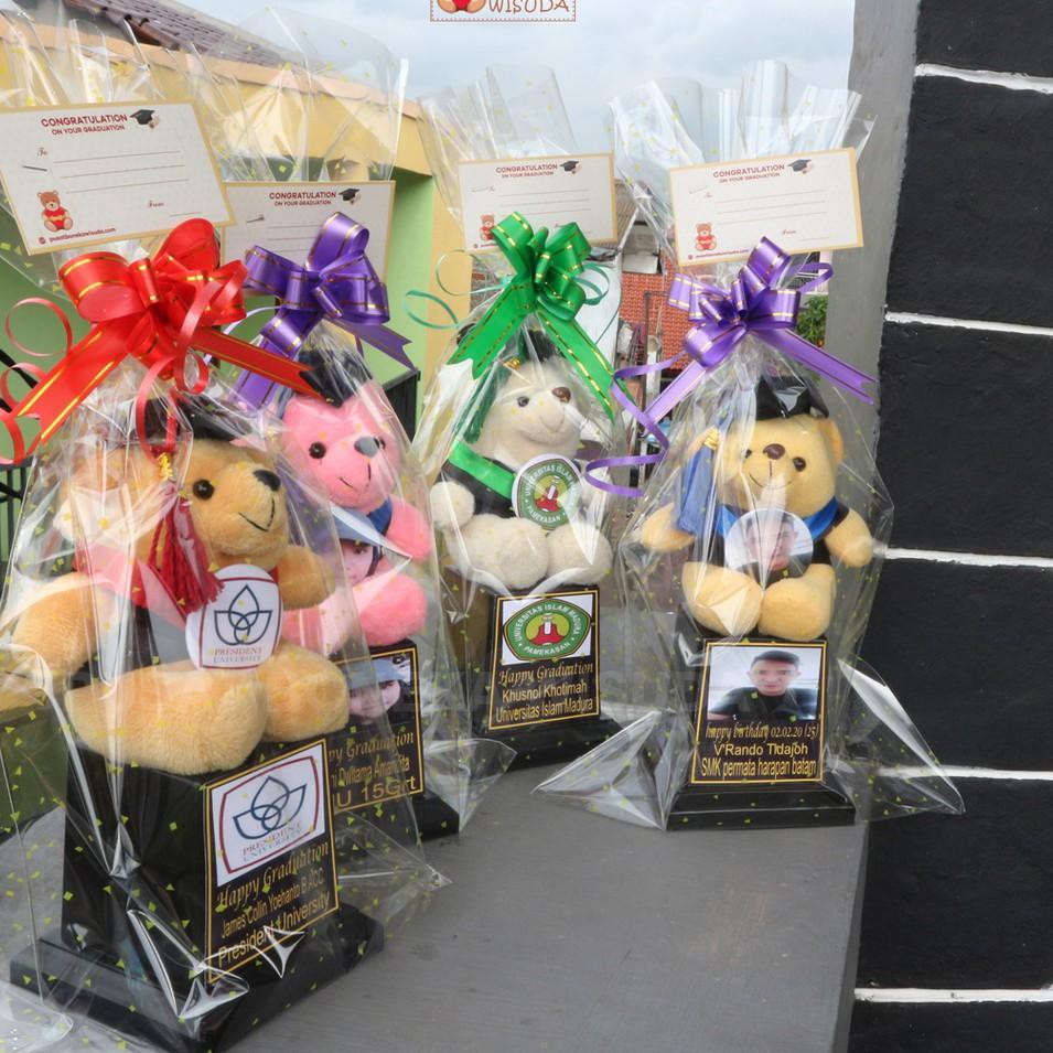 Serba Murah RNW Piala Boneka Wisuda Murah Teddy Bear Kecil Mini Kado Hadiah graduation TK toga Nama