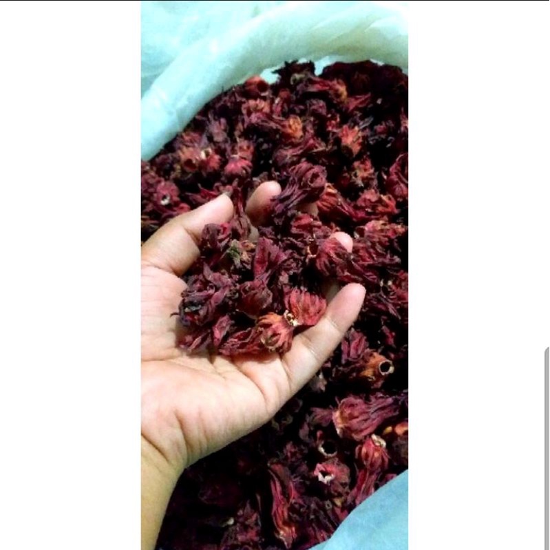 

ROSELA KERING MERAH UNTUK KESEHATAN TUBUH
