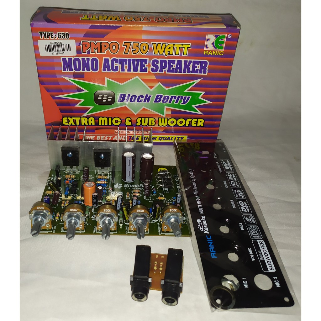 Kit Ranic Kit Power Speaker Active Mono Block Berry 750 Watt Pmpo Extra Mic & Subwoofer-630RE.165/63