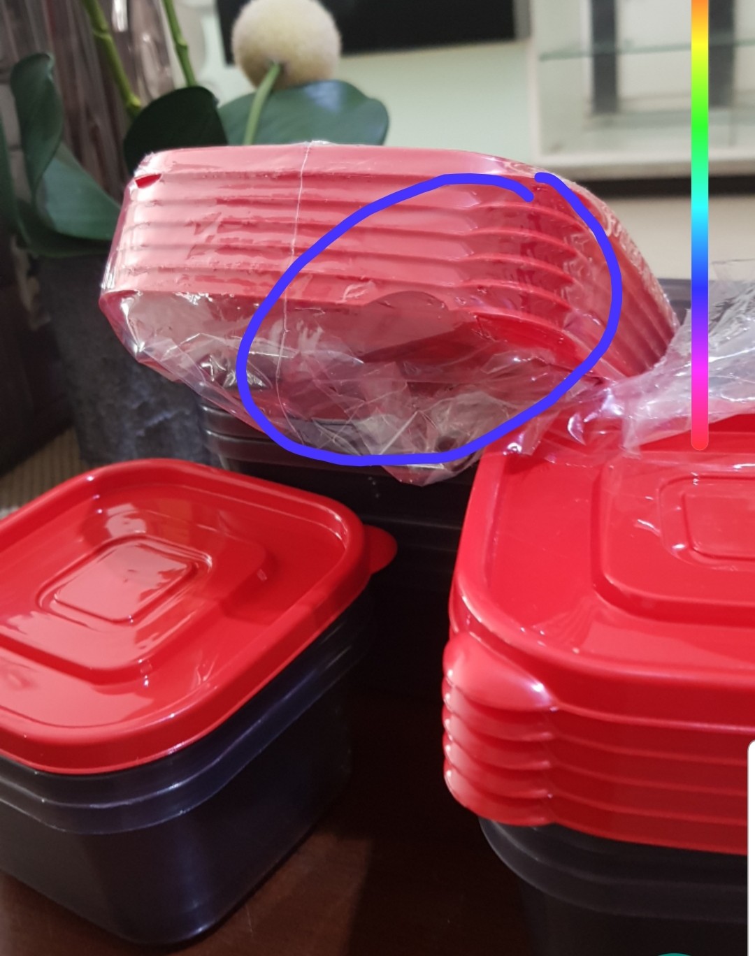 Calista Rumoi Isi 12 Pcs Food Container Tempat Penyimpanan Makanan Toples Kue Wadah Bumbu Serbaguna