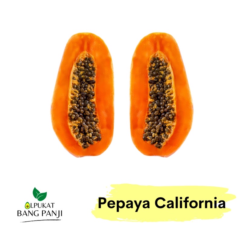 

Pepaya California Mengkal 1-1,5 kg / pcs