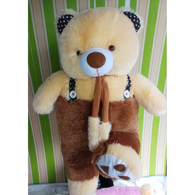 jumbo teddy