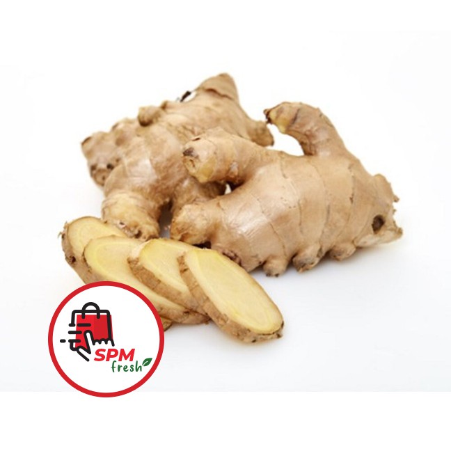 

Jahe Putih [250 gr] Bumbu Dapur Rempah Sayuran Segar