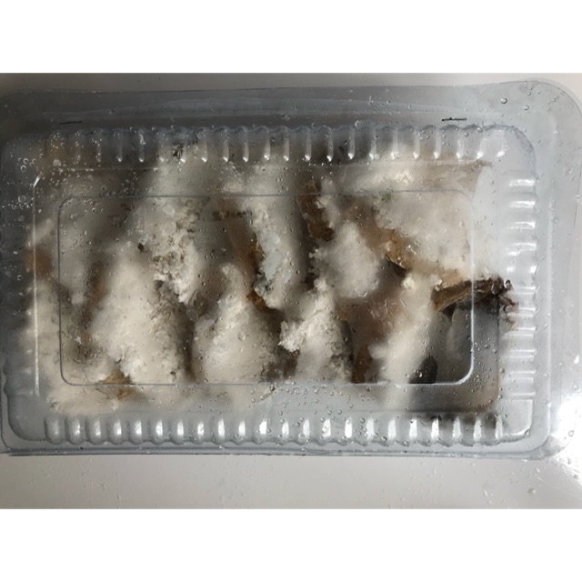 

Tahu aci isi 10