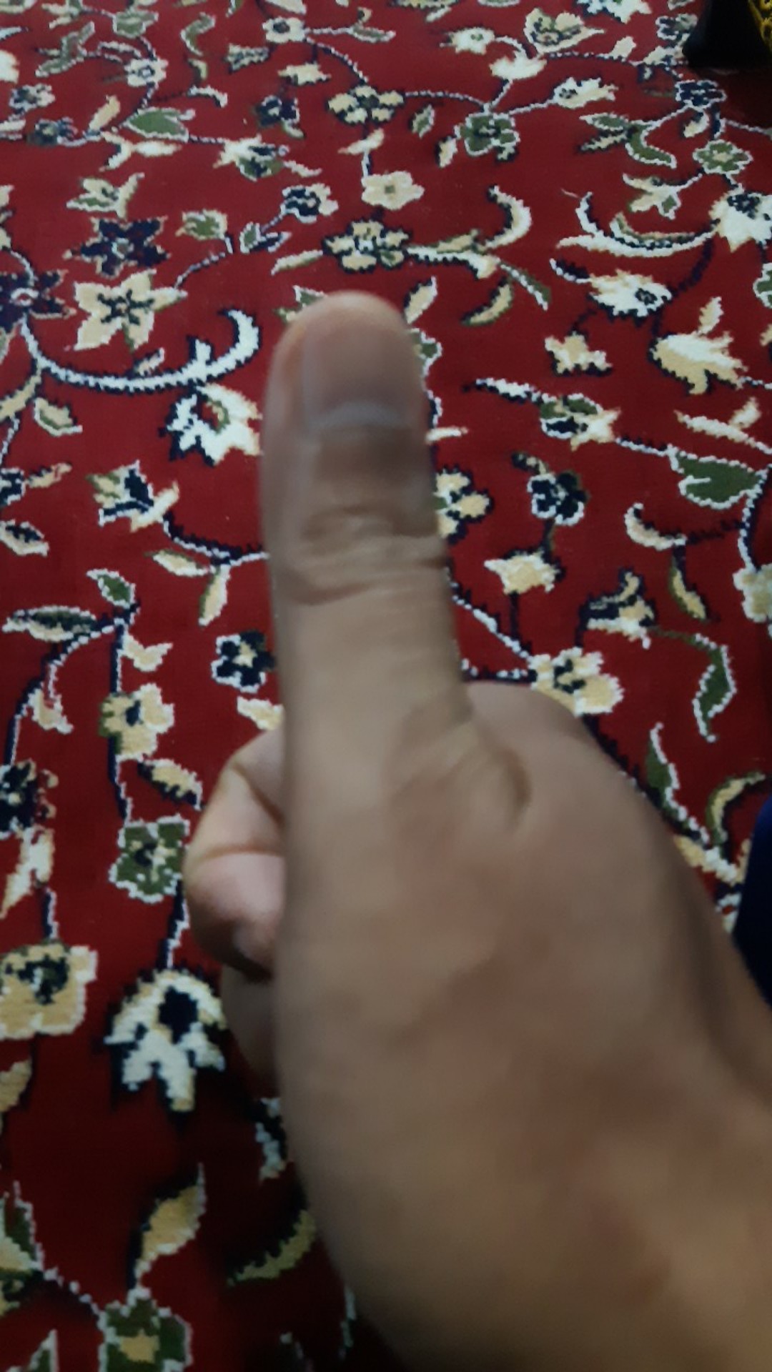 Jaxine Sarung Bantal Guling Bahan Waterproof Polos | Sarban Sargul Murah | Cover Bantal Guling Set