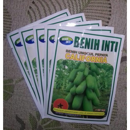 SUPER MURAH--  Benih Unggul Pepaya California, kemasan asli