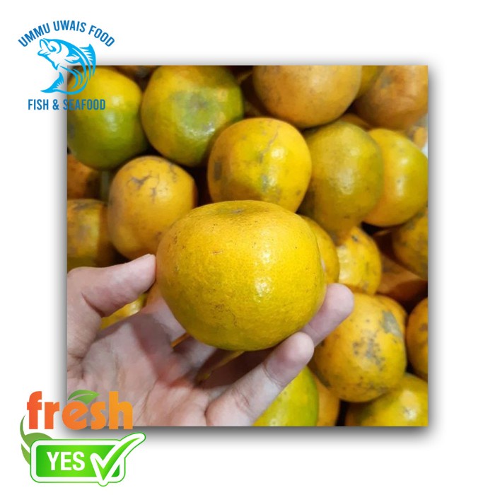 

Buah Jeruk Medan Segar Berkualitas - 1 Kilogram