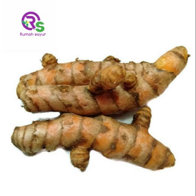 

RUMAH - SAYUR KUNYIT 1 KG TERLARIS TERMURAH