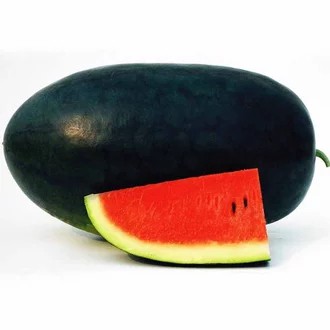 Benih Semangka Merah PALGUNA F1 - Semangka Inul - Cap Panah Merah - Urban Farming