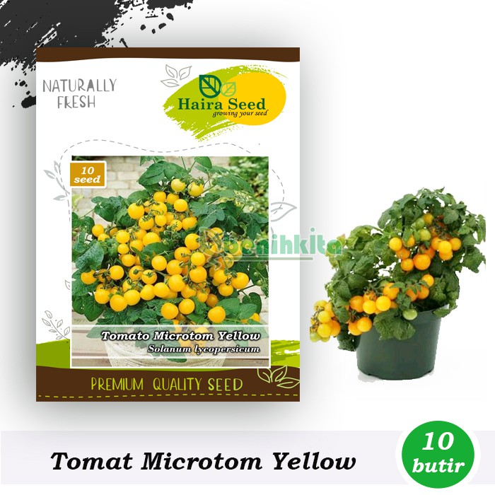 Benih-Bibit Tomat Cherry Microtom Yellow (Haira Seed)