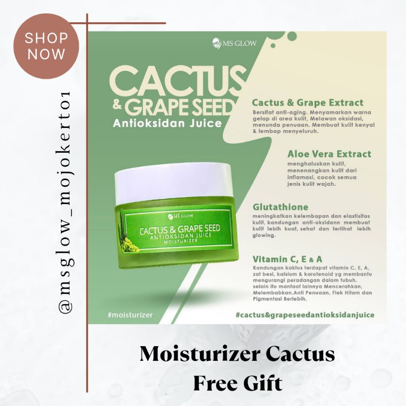 MOISTURIZER CACTUS MS GLOW