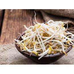 

Tauge Segar 250 gr Medan