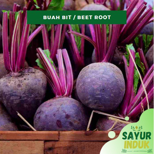 

Sayur Induk - Buah Bit 500 Gram Fresh Grade A Beetroot