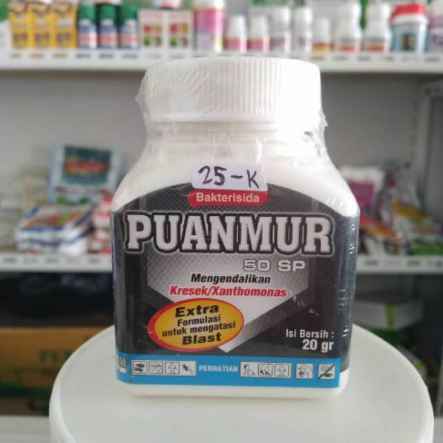 Puanmur 50 SP bakterisida kurma dan buah buahan
