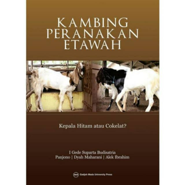 Kambing Peranakan Etawah