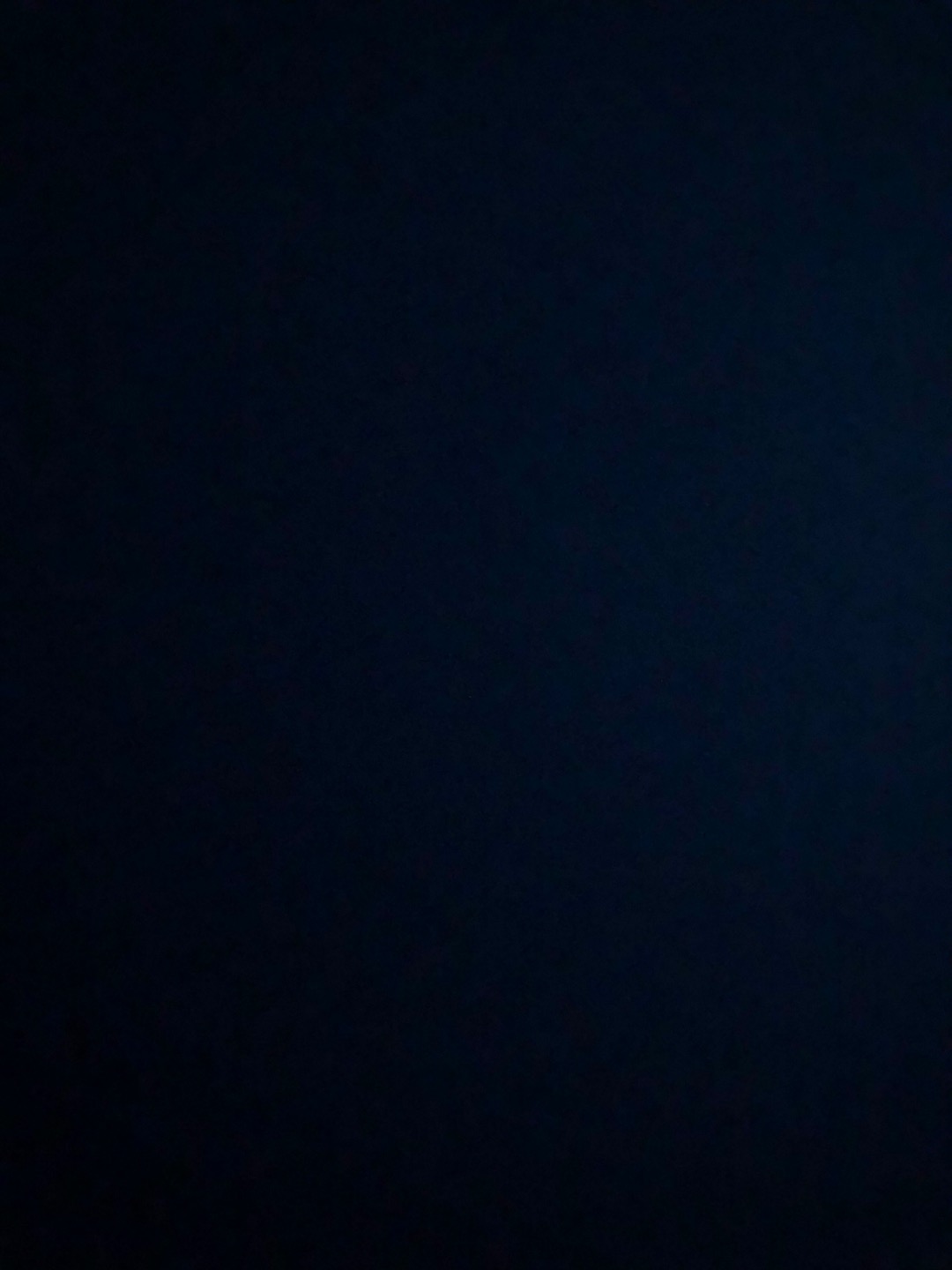 Káiu Minyak Kayu Putih || 100% Asli Maluku || Kaiu Minyak Kayu Putih